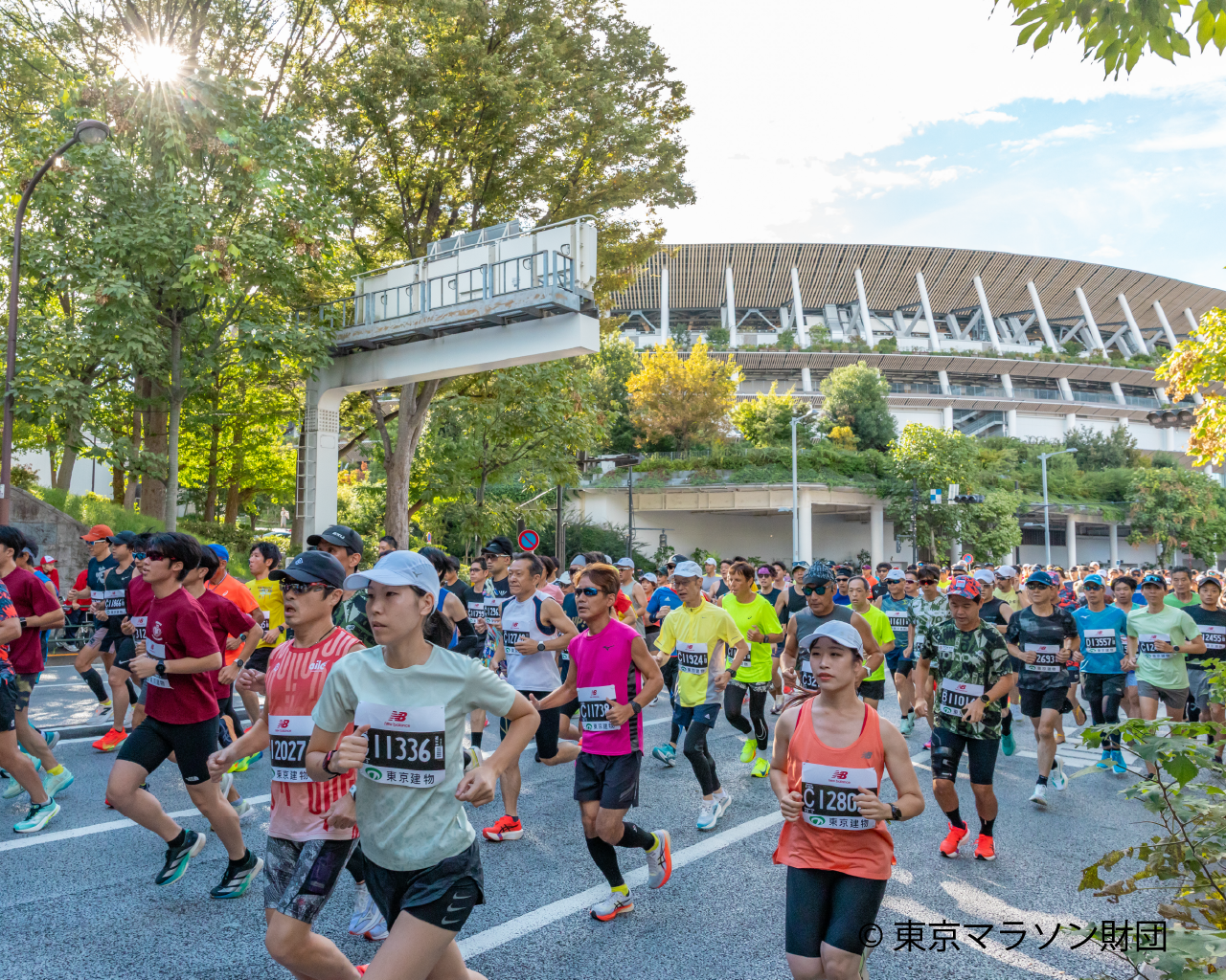 ハーフ・東京都・mamasan・ゴールドラッシュ Terapagos ex - 237/187 - SV8a: Terastal Fest ex - Pokemon Japan